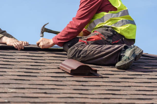 Best Roof Gutter Cleaning  in Crandon Lakes, NJ