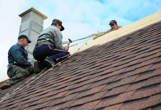 Best Roof Maintenance Services  in Crandon Lakes, NJ